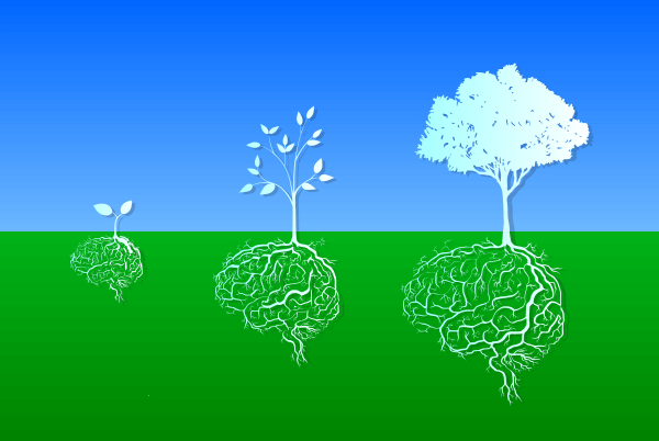 Help employees cultivate a continuous learning mindset.