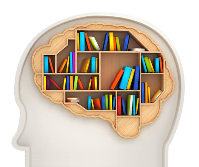 A repository of knowledge serves as a digital sanctuary where information is stored, meticulously managed, and shared.